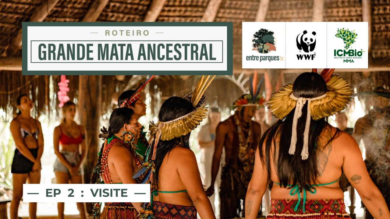 O chamado da Floresta | Como visitar o roteiro da GRANDE MATA ANCESTRAL [Ep. 2]