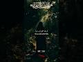 Youm E Wiladat Syeda Fatima Zahra Status Fatima Zahra Manqabat Status Bibi Fatima