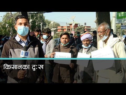 चार बर्षदेखिको बक्यौता उठाउन उखु किसान फेरि राजधानीमा