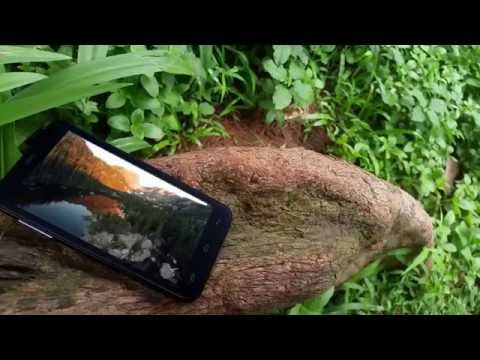 Walton primo F6 Hands on Review  HIGH