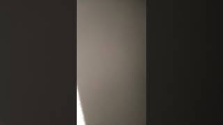 Download lagu tau riwelai mp3