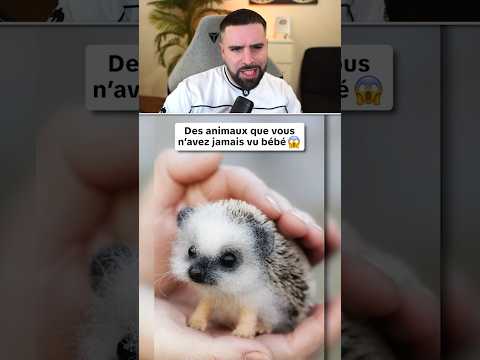 Les animaux que vous n’avez jamais vu bébé 😱