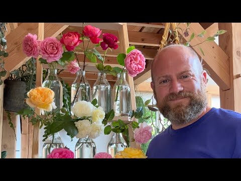 My all new best for fragrance @david_austin_roses collection, all 8⭐️s and above #gardenerben