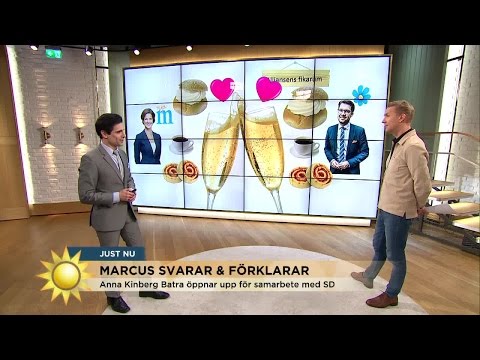 Marcus Oscarsson: "Hela havet stormar i alliansen" - Nyhetsmorgon (TV4)