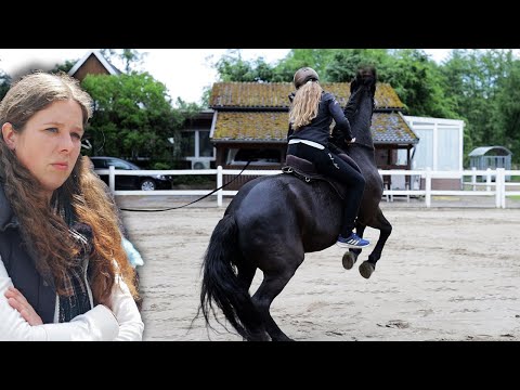 Stute steigt tritt und bockt beim antraben - 12 jährige Cotrainern versucht das zu ändern