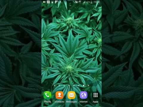 Weed Live Wallpaper