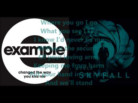 Changed The Way You Skyfall (ADELE vs. Example) - Mashup