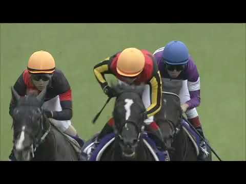2022 JRA TOKYO THE YASUDA KINEN