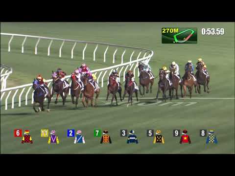 12/1/2022 (329) King's Trooper- R Maia