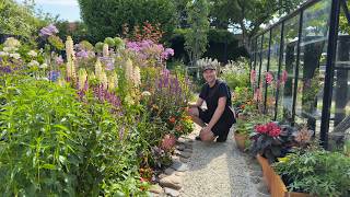 Perennials & Biennials Flowering in June | Summer Garden Color