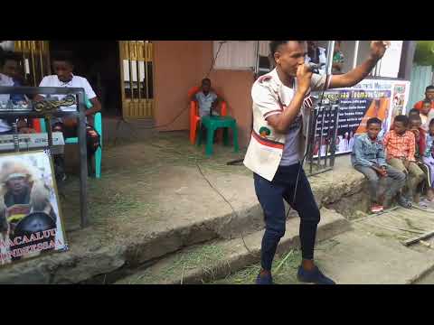 Baay'isaa Bashaadaa wallaggarran dhufe Torban (7n) YouTube