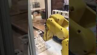 Miniature robots creates MOBIE student designed home