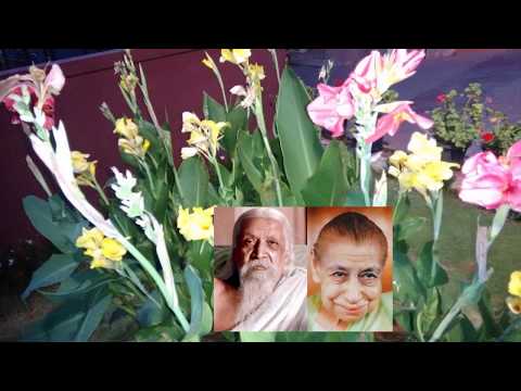 Quote from 'The Hour of God' by Sri Aurobindo