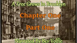 A Tree Grows In Brooklyn! Ch1 Prt 1