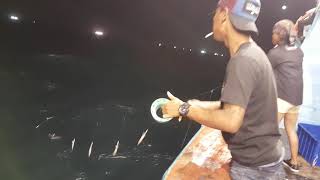 Download lagu PANCING CUMI MERAUKE / HAJI. ROTI mp3