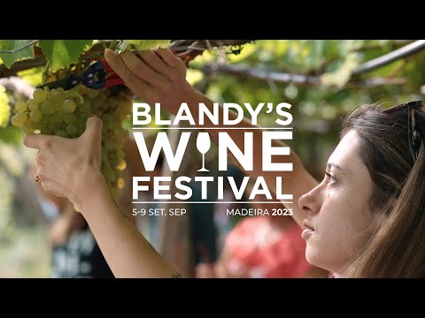 MADEIRA Wine HARVEST @ Quinta de São Jorge - Blandy's Vindima 2023