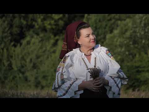 Ana Ilca - Scris-o domnii pe hârtie