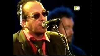 Elvis Costello &amp; the Imposters 2005-10-23 Tim Fest, Rio de Janeiro, Brazil