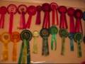 Barneys Rosettes