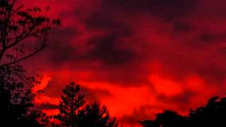 Zeit der Banden VON JULIANE WERDING