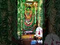 Jai Vasavi Sri Vasavi Kanyaka Parameswari Amma Variki Sakambari Avataram At Giddalur Prakasam Dt