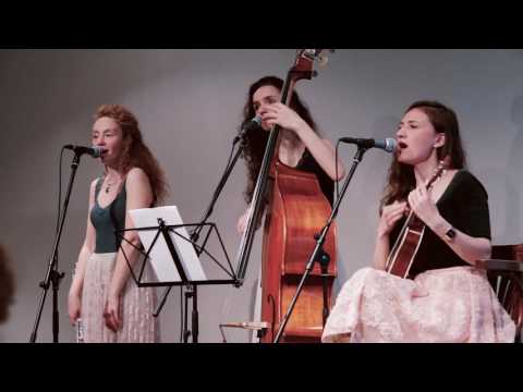 Amelie Acoustic Trio - Feel Good Inc (Gorillaz Cover)