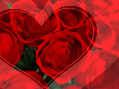 robert preston i won't send roses