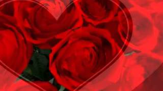 robert preston i won't send roses