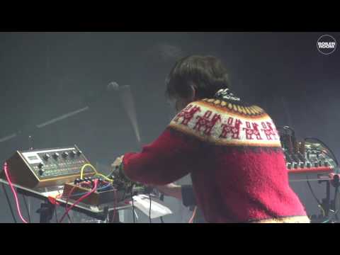 MITÚ LIVE + Guacamayo Tropical