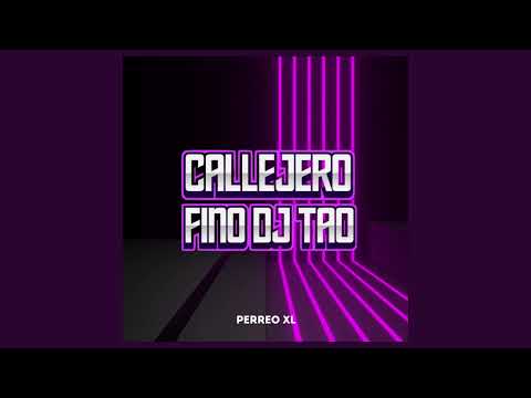 Perreo XL - Turreo Sessions #723 | Callejero Fino