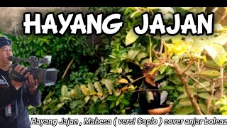 Download lagu HAYANG JAJAN,Mahesa (Versi Koplo ) cover by Anjar boleaz mp3