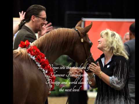 The Arabian Breeders World Cup