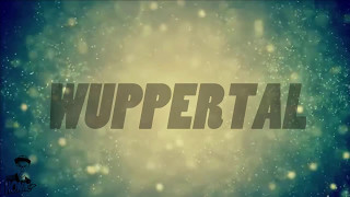 Honk! - Hallo Helmut [Remix] + [Lyrics]