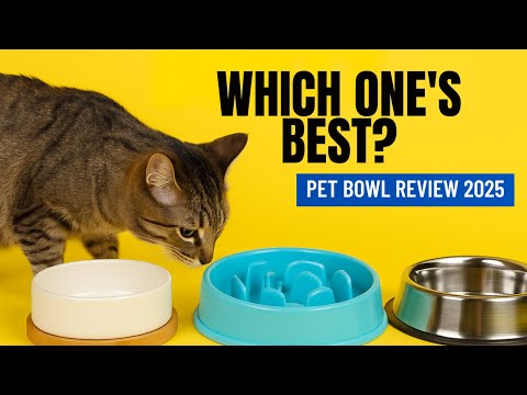 Top 3 Must-Have Pet Bowls 🐾 | How to Choose the Right Food Bowl for Your Dog or Cat!