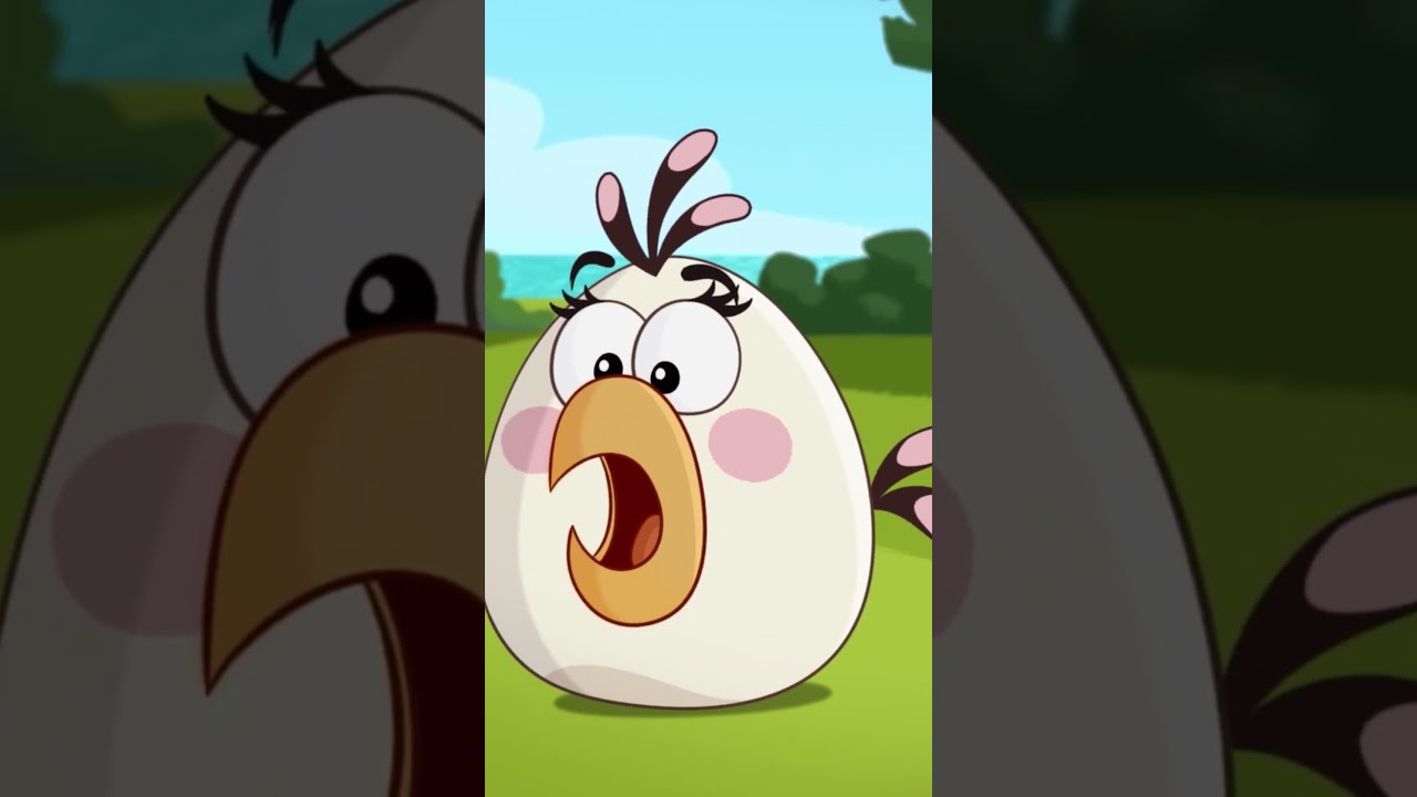 Hands off Bomb! 😡