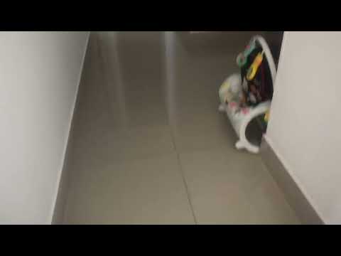 Apartamentos, Venta, Puerto Colombia - $450.000.000