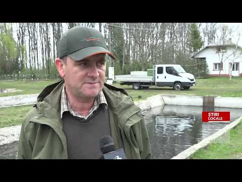 A3 PĂSTRĂV PROASPĂT PENTRU FLORII, LA MOARA DOMNEASCĂ