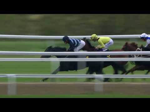 2019.09.22 Lanwades Stud Stakes (SWE) - Appelina