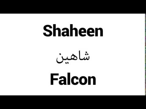 How to Pronounce Shaheen! - Middle Eastern Names