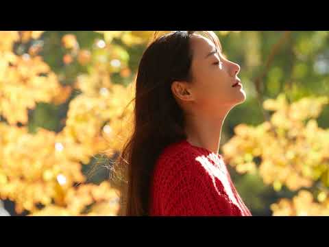 Patience Pays Off   Daily Motivation for Mindful Living