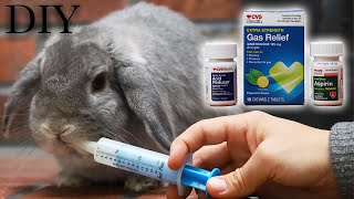 GI Stasis Home Remedy for Rabbits