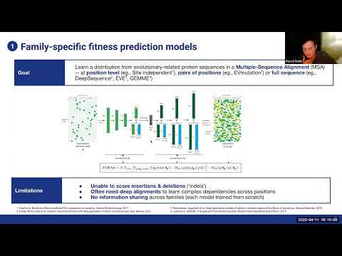 Hybrid protein language models for fitness prediction