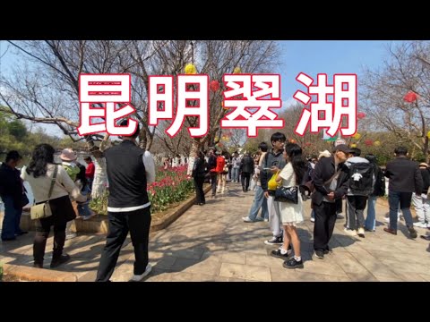 男子闲逛到云南昆明翠湖 尝试翻译海鸥的语言