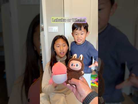 LABUBU or WHALE?!