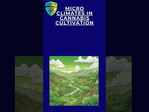 Inside South Africa’s Unique Cannabis Micro Climates