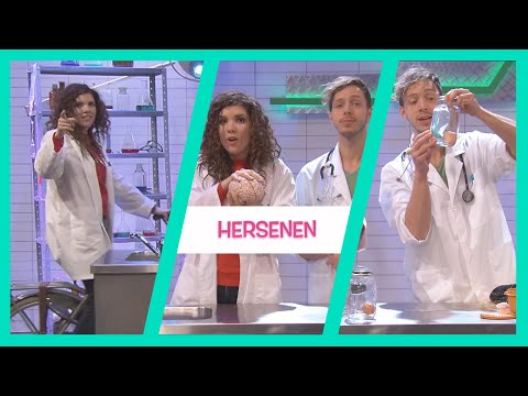 NET GEEN HERSENSCHUDDING!! - TOPDOKS LABEXPERIMENT