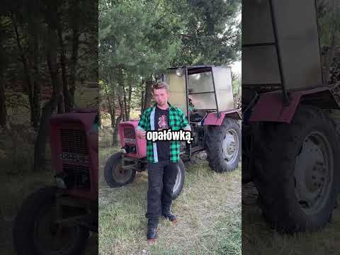 Rapeseed cake?! 😳🌻