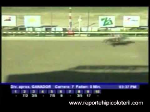 Resumen Domingo 22 de Enero de 2012 - La Rinconada.wmv