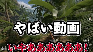 やばい動画