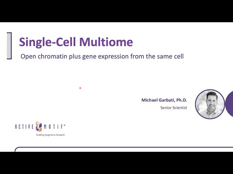 Single-Cell Multiome - Open chromatin plus gene expression from the same cell.